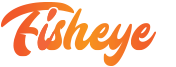 Fisheye Consulting logo